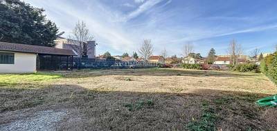 Terrain seul à Francheville en Rhône (69) de 760 m² à vendre au prix de 530000€ - 4