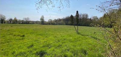 Terrain seul à Cabourg en Calvados (14) de 813 m² à vendre au prix de 111400€ - 4