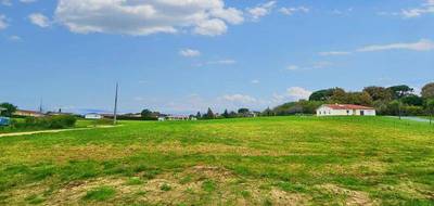 Terrain seul à Sainte-Colombe en Landes (40) de 2200 m² à vendre au prix de 35000€ - 1