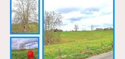 Terrain seul à Malemort en Corrèze (19) de 1500 m² à vendre au prix de 46700€ - 4