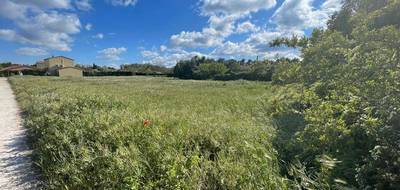 Terrain seul à Cheval-Blanc en Vaucluse (84) de 3087 m² à vendre au prix de 750000€ - 2