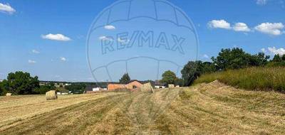 Terrain seul à Phalsbourg en Moselle (57) de 2043 m² à vendre au prix de 75000€ - 3