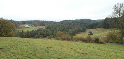 Terrain seul à Saint-Victor-Malescours en Haute-Loire (43) de 2800 m² à vendre au prix de 65000€ - 2