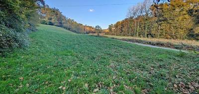 Terrain seul à Sarlat-la-Canéda en Dordogne (24) de 2000 m² à vendre au prix de 47000€ - 2