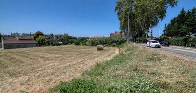 Terrain seul à Malause en Tarn-et-Garonne (82) de 2099 m² à vendre au prix de 49000€ - 3