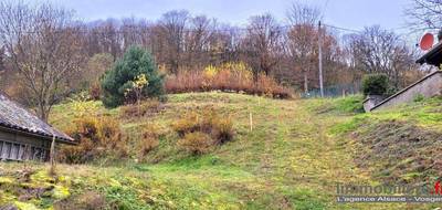 Terrain seul à Wildersbach en Bas-Rhin (67) de 750 m² à vendre au prix de 45000€ - 2