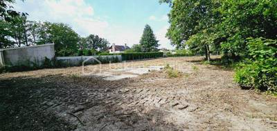 Terrain seul à Vrigny en Loiret (45) de 7969 m² à vendre au prix de 49990€ - 3