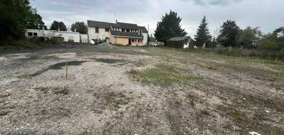 Terrain seul à Mornay-sur-Allier en Cher (18) de 10839 m² à vendre au prix de 132000€ - 2