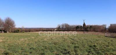 Terrain seul à Saint-Palais-de-Négrignac en Charente-Maritime (17) de 3264 m² à vendre au prix de 41000€ - 1