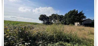 Terrain seul à Kerfourn en Morbihan (56) de 1081 m² à vendre au prix de 33000€ - 4