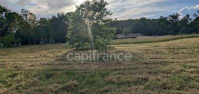 Terrain seul à Brossac en Charente (16) de 2578 m² à vendre au prix de 44000€ - 3