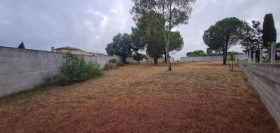 Terrain seul à Magalas en Hérault (34) de 1305 m² à vendre au prix de 195000€ - 1