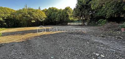 Terrain seul à Saussines en Hérault (34) de 1196 m² à vendre au prix de 245000€ - 2