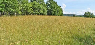 Terrain seul à La Cassagne en Dordogne (24) de 5580 m² à vendre au prix de 82000€ - 4