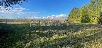 Terrain seul à Bouzonville-aux-Bois en Loiret (45) de 683 m² à vendre au prix de 29000€ - 1