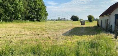 Terrain seul à Mouriez en Pas-de-Calais (62) de 4459 m² à vendre au prix de 55000€ - 3