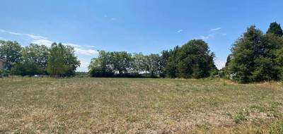 Terrain seul à Revel en Haute-Garonne (31) de 3205 m² à vendre au prix de 128000€ - 1