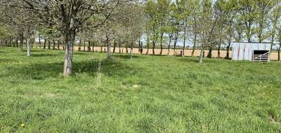 Terrain seul à Bayeux en Calvados (14) de 541 m² à vendre au prix de 58900€ - 4