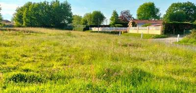 Terrain seul à Aire-sur-l'Adour en Landes (40) de 967 m² à vendre au prix de 37835€ - 2