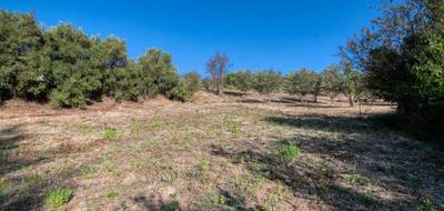 Terrain seul à Caunes-Minervois en Aude (11) de 1600 m² à vendre au prix de 82000€ - 1