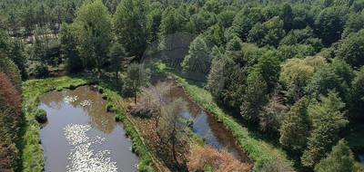 Terrain seul à Saint-Mars-la-Brière en Sarthe (72) de 6800 m² à vendre au prix de 29900€ - 1