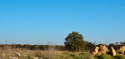 Terrain seul à Pellegrue en Gironde (33) de 1742 m² à vendre au prix de 36000€ - 2