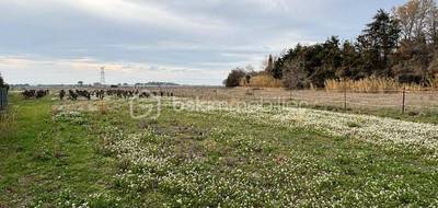 Terrain seul à Pomérols en Hérault (34) de 801 m² à vendre au prix de 195000€ - 2