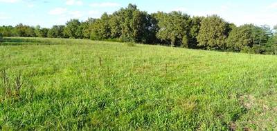 Terrain seul à Horsarrieu en Landes (40) de 2445 m² à vendre au prix de 44000€ - 2