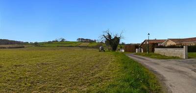 Terrain seul à Labastide-Villefranche en Pyrénées-Atlantiques (64) de 3000 m² à vendre au prix de 105000€ - 4