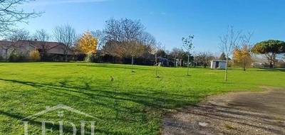 Terrain seul à Targon en Gironde (33) de 1246 m² à vendre au prix de 180000€ - 3