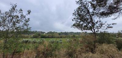 Terrain seul à Rieux-Minervois en Aude (11) de 1500 m² à vendre au prix de 54000€ - 1