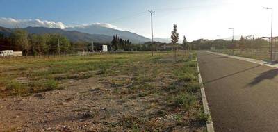 Terrain seul à Ille-sur-Têt en Pyrénées-Orientales (66) de 1338 m² à vendre au prix de 118800€ - 2