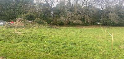 Terrain seul à Elven en Morbihan (56) de 778 m² à vendre au prix de 132000€ - 2