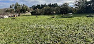 Terrain seul à Montaigut-sur-Save en Haute-Garonne (31) de 1000 m² à vendre au prix de 135000€ - 4