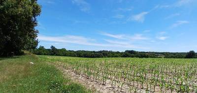 Terrain seul à Mugron en Landes (40) de 566 m² à vendre au prix de 50000€ - 1