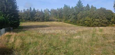 Terrain seul à Saint-Sylvestre en Haute-Vienne (87) de 10959 m² à vendre au prix de 55000€ - 2