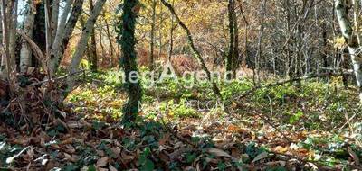 Terrain seul à Le Chastang en Corrèze (19) de 3064 m² à vendre au prix de 24000€ - 1