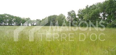 Terrain seul à Carlus en Tarn (81) de 541 m² à vendre au prix de 68000€ - 1