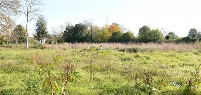 Terrain seul à Béguey en Gironde (33) de 1398 m² à vendre au prix de 144000€ - 1