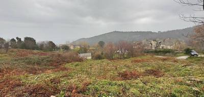 Terrain seul à Pero-Casevecchie en Haute-Corse (2B) de 1950 m² à vendre au prix de 66000€ - 4