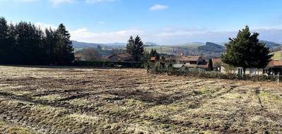 Terrain seul à Violay en Loire (42) de 865 m² à vendre au prix de 83000€ - 4