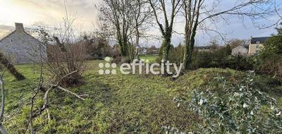 Terrain seul à Tréfumel en Côtes-d'Armor (22) de 464 m² à vendre au prix de 19500€ - 1