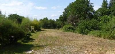Terrain seul à Saint-Vallier en Saône-et-Loire (71) de 2742 m² à vendre au prix de 33000€ - 3