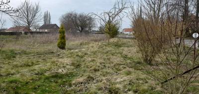 Terrain seul à Puisieux en Pas-de-Calais (62) de 0 m² à vendre au prix de 23000€ - 1
