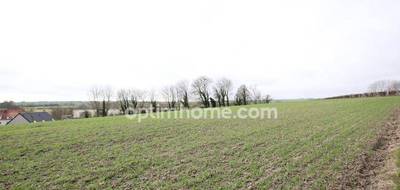 Terrain seul à Pernes en Pas-de-Calais (62) de 15273 m² à vendre au prix de 100000€ - 3