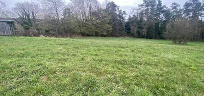 Terrain seul à Phalsbourg en Moselle (57) de 1250 m² à vendre au prix de 65500€ - 1