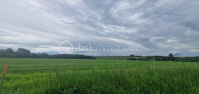 Terrain seul à Saint-Germain-des-Prés en Loiret (45) de 1335 m² à vendre au prix de 35000€ - 1