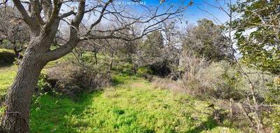 Terrain seul à Rapale en Haute-Corse (2B) de 1984 m² à vendre au prix de 149000€ - 2