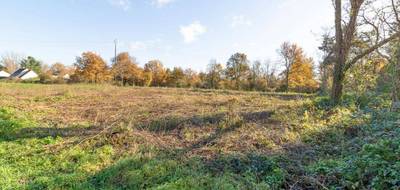 Terrain seul à Pruniers-en-Sologne en Loir-et-Cher (41) de 1133 m² à vendre au prix de 27990€ - 4