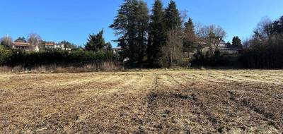 Terrain seul à Violay en Loire (42) de 865 m² à vendre au prix de 85000€ - 2